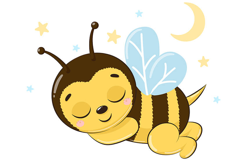 Est-ce qu’une abeille dort ?